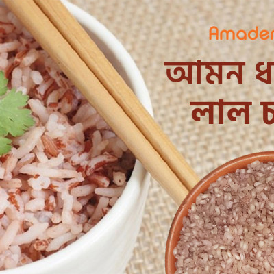 Amadere Aman Rice (আমাদের আমন ধানের লাল চাল) Aman Dhaner Lal Chal (1kg) - Price In Bd