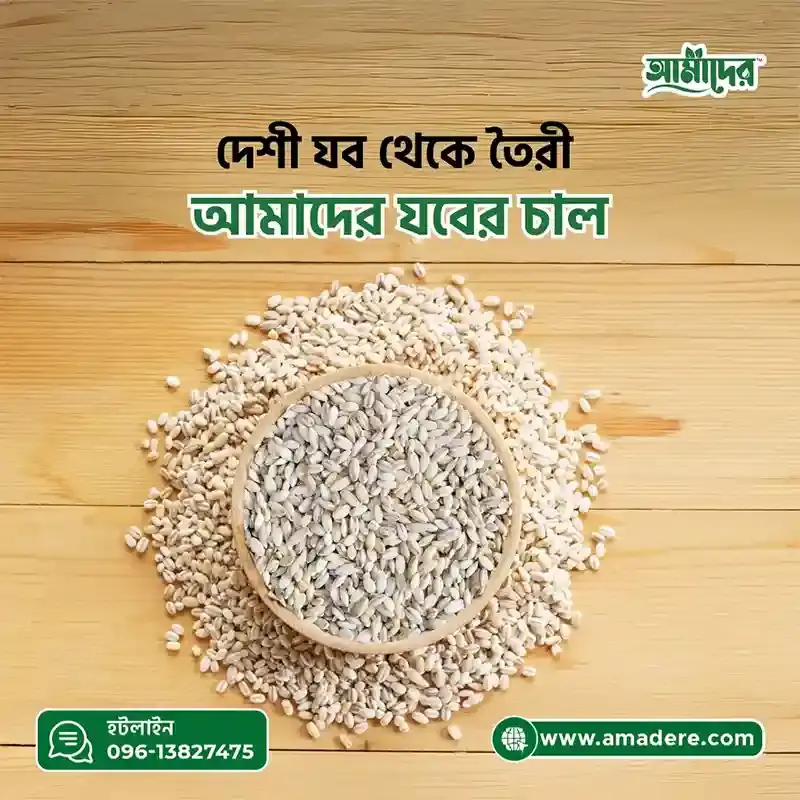 আমাদের™ যবের চাল ৫ কেজি | Barley Rice in Bangladesh 5 kg