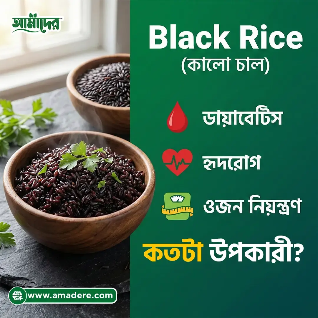 Black Rice (কালো চাল) ডায়াবেটিস, হৃদরোগ ও ওজন নিয়ন্ত্রণে কতটা উপকারী?
