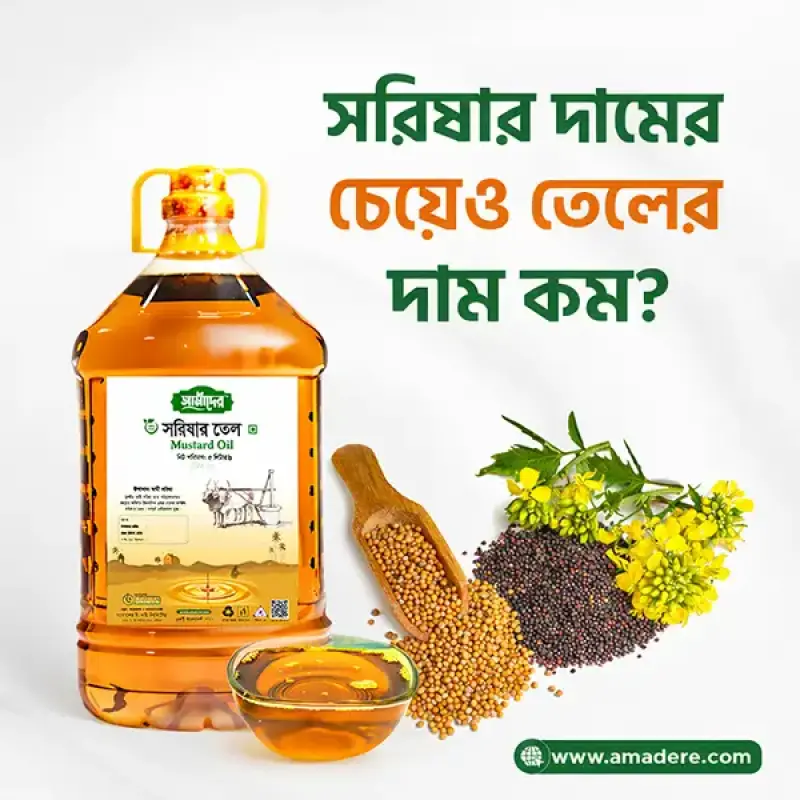 সরিষার দামের চেয়েও তেলের দাম কম? সস্তা সরিষার তেলের ভেতরের সত্যটা জানুন