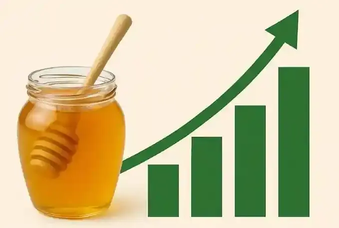 বাংলাদেশে ন্যাচারাল ও অর্গানিক খাবারের বাজার: কেন দ্রুত বাড়ছে? Natural Organic Food Demand in Bangladesh | Amader