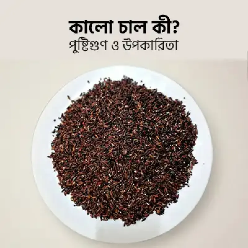 ব্ল্যাক রাইস (কালো চাল) কী? উপকারিতা, পুষ্টিগুণ ও খাওয়ার সঠিক নিয়ম।