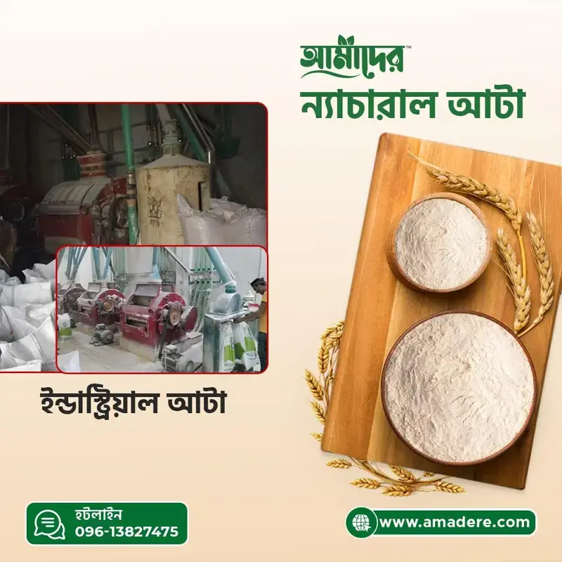 আমাদের ন্যাচারাল আটা বনাম ইন্ডাস্ট্রিয়াল আটা | Natural Atta | Amader | Lal Atta |