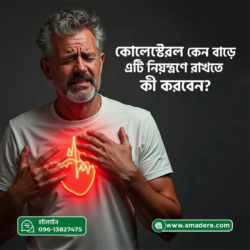 কোলেস্টেরল কেন বাড়ে এটি নিয়ন্ত্রণে রাখতে কী করবেন?