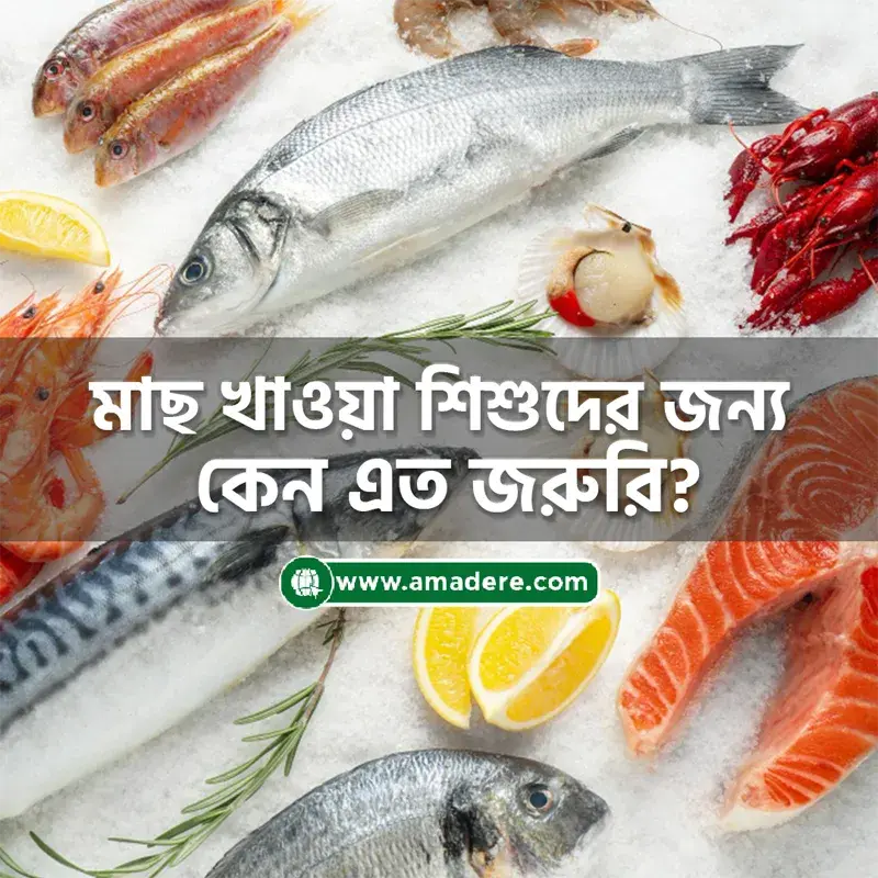 মাছ খাওয়া শিশুদের জন্য কেন এত জরুরি?
