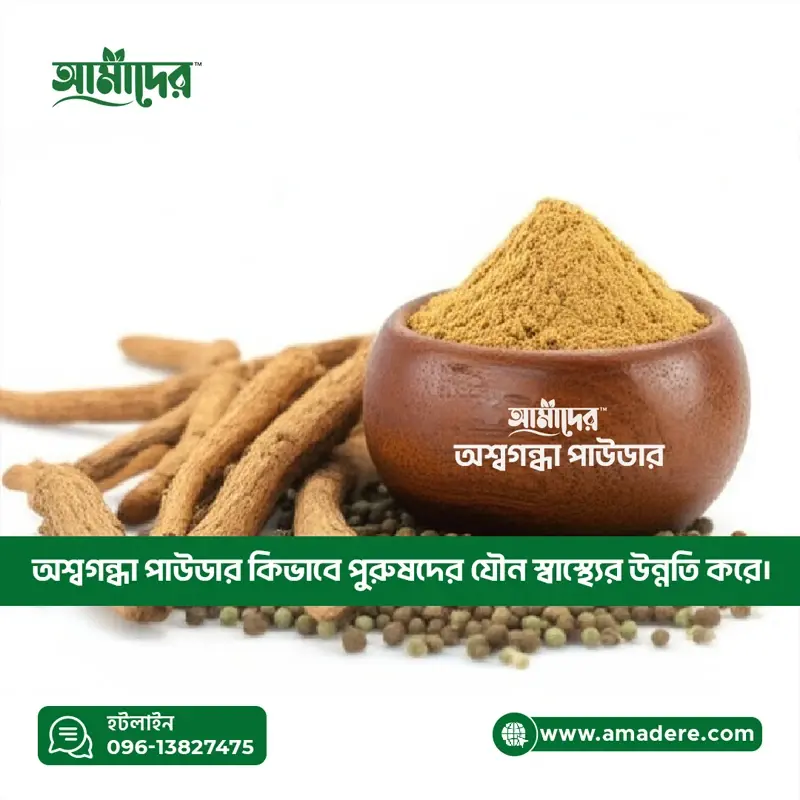 অশ্বগন্ধা পাউডার পুরুষদের জন্য উপকারী কেন? পুরুষের যৌন স্বাস্থ্যের উন্নতিতে অশ্বগন্ধা পাউডারের ভূমিকা কি?
