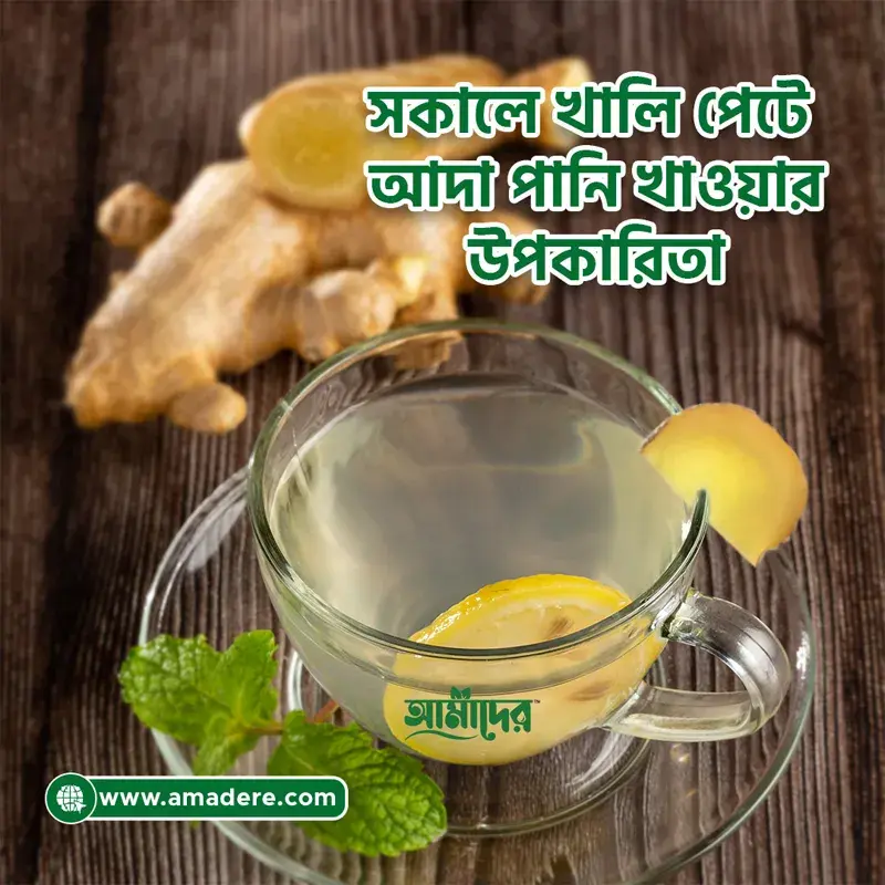 সকালে খালি পেটে আদা পানি খাওয়ার উপকারিতা