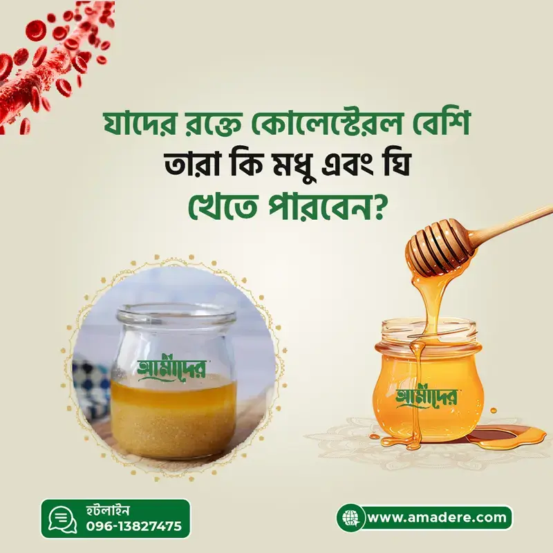 যাদের রক্তে কোলেস্টেরল বেশি, তারা কি মধু এবং ঘি খেতে পারবেন?