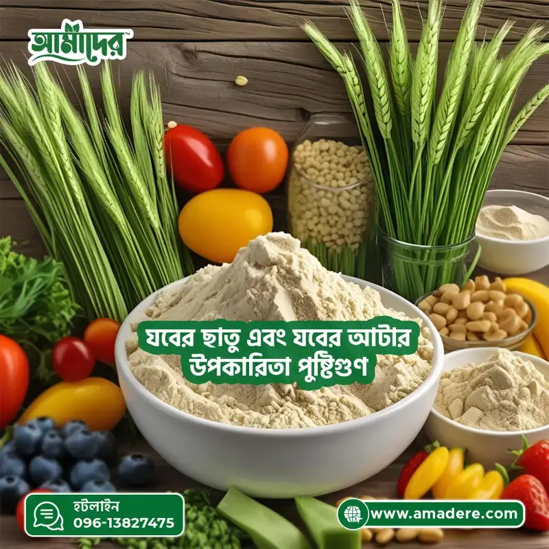 যবের ছাতু এবং যবের আটার - উপকারিতা, পুষ্টিগুণ ও ডায়াবেটিস ফ্রেন্ডলি ডায়েট প্ল্যান।