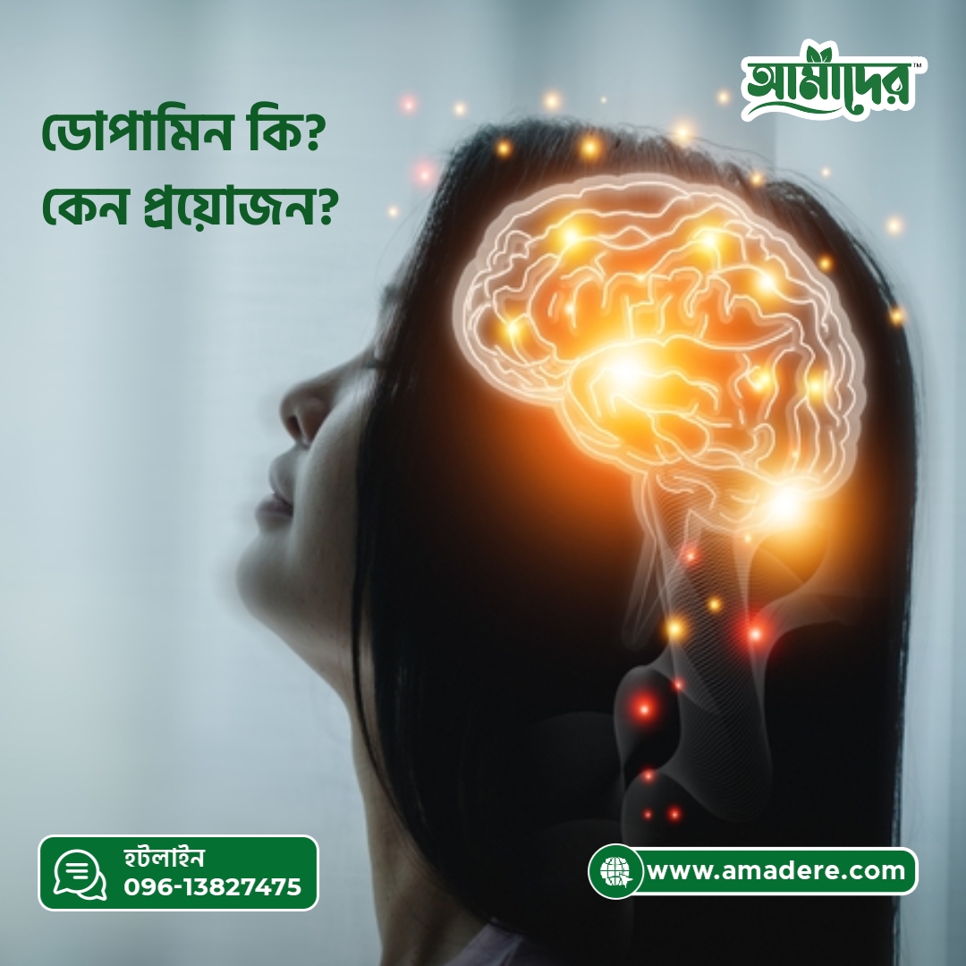 ডোপামিন কি? কেন প্রয়োজন? কোন খাবার ডোপামিন বাড়ায়? ডোপামিন বুস্টার-বিটরুট স্মুদি রেসিপি সহ!