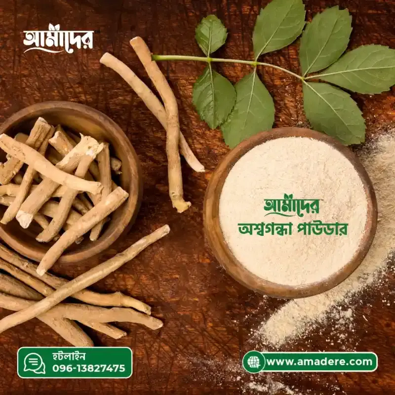 7 Science-Backed Ashwagandha Benefits You Need to Know | অশ্বগন্ধার ৭টি বিজ্ঞান-সমর্থিত উপকারিতা যা আপনার জানা দরকার