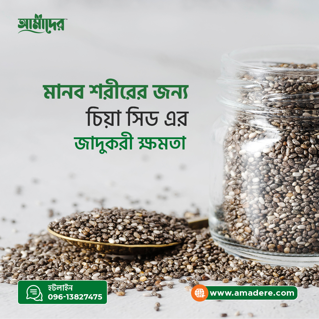 মানব শরীরের জন্য চিয়া সিড এর জাদুকরী ক্ষমতা