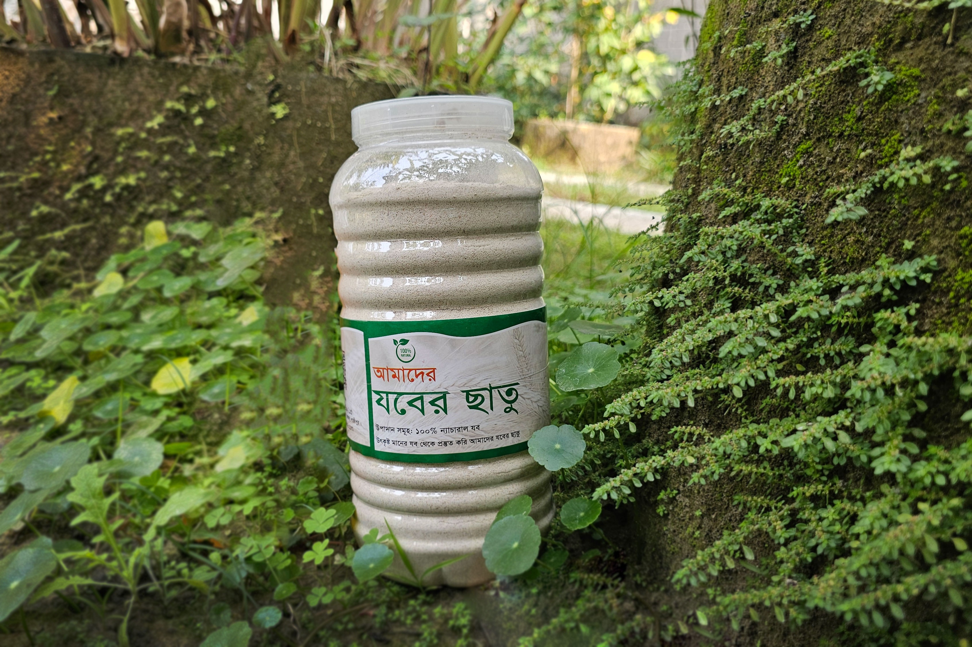 আপনি কি জানেন প্রতিদিন সকালবেলা পায়খানা ক্লিয়ার না হলে কি কি সমস্যা হতে পারে? কেন যবের ছাতু খাওয়া উচিত? Why should eat Jober Chatu (Barley Grist)