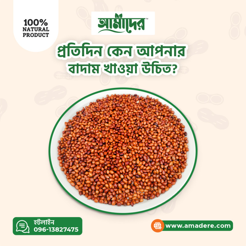 প্রতিদিন কেন আপনার বাদাম খাওয়া উচিত? বাদাম খাওয়ার স্বাস্থ্য উপকারিতা কি? Why should you eat penuts every day? What are the health benefits of eating