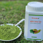 Moringa Powder Price in Bangladesh ( মরিঙ্গা পাউডার বা সজিনা পাতার গুঁড়া )