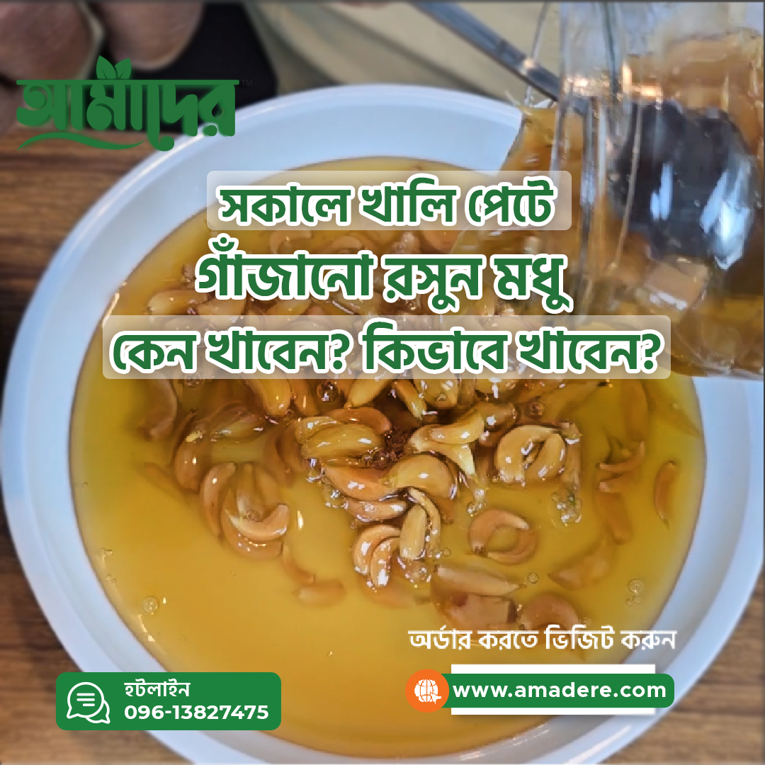 সকালে খালি পেটে আমাদের গাঁজানো রসুন মধু কেন খাবেন এবং কিভাবে খাবেন?